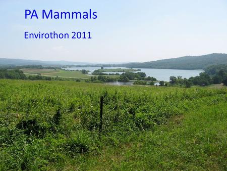 PA Mammals Envirothon 2011.