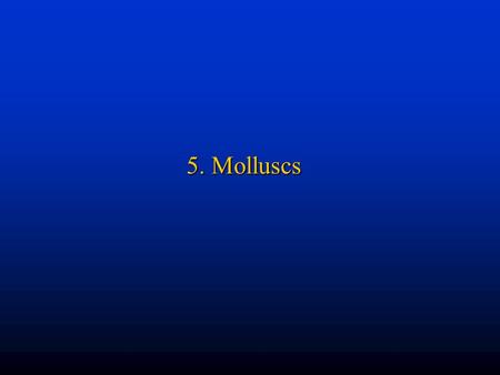 5. Molluscs.
