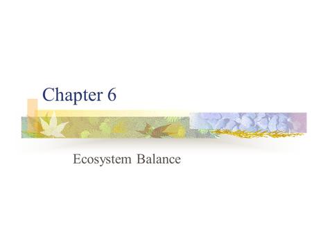 Chapter 6 Ecosystem Balance.
