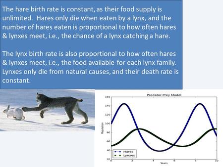 The hare birth rate is constant, as their food supply is unlimited. Hares only die when eaten by a lynx, and the number of hares eaten is proportional.