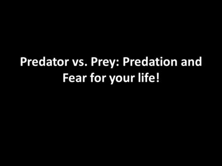 Predator vs. Prey: Predation and Fear for your life!