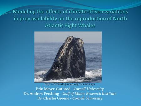 Erin Meyer-Gutbrod - Cornell University Dr. Andrew Pershing – Gulf of Maine Research Institute Dr. Charles Greene - Cornell University
