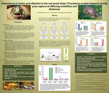 Importance of vision and olfaction in the red eared slider (Trachemys scripta elegans) during prey capture at differing turbidities and distances Amanda.