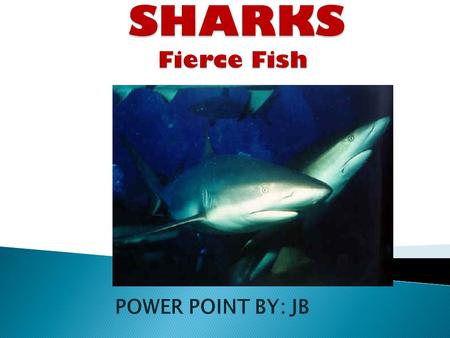 SHARKS Fierce Fish POWER POINT BY: JB.