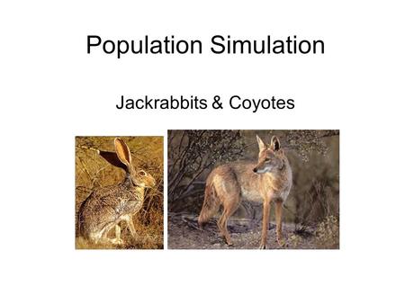 Population Simulation