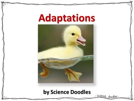 Adaptations by Science Doodles.