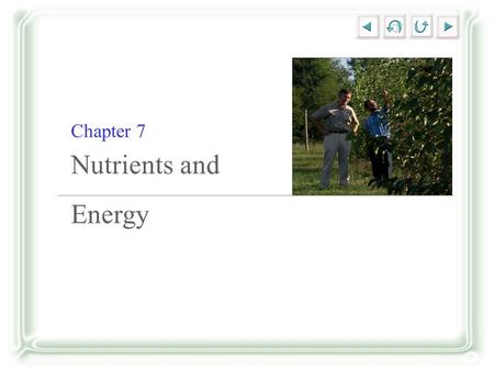 Chapter 7 Nutrients and Energy. Energy Sources Organisms can be classified by trophic levels. –Autotrophs use inorganic sources of carbon and energy.
