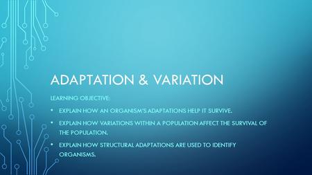 Adaptation & Variation