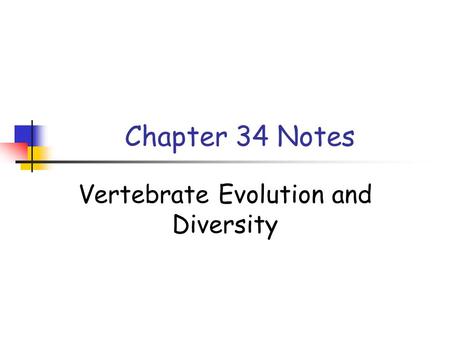 Chapter 34 Notes Vertebrate Evolution and Diversity.
