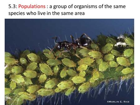 5.3: Populations : a group of organisms of the same species who live in the same area.