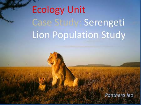 Ecology Unit Case Study: Serengeti Lion Population Study Panthera leo.