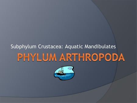 Subphylum Crustacea: Aquatic Mandibulates
