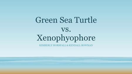 Green Sea Turtle vs. Xenophyophore KIMBERLY HORSFALL & KENDALL BOWMAN.