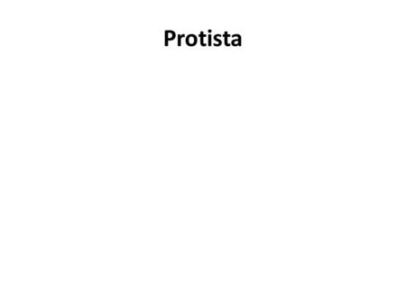 Protista. Euglena Ameba Paramecium Protists Single celled organisms Much larger than bacteria – Can cause illness Have organelles to carry out life functions.