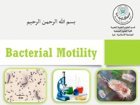 Bacterial Motility The ability of an organism to move by itself is called motility. Motility is closely linked with chemotaxis, the ability to orientate.