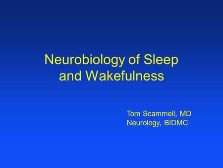 Neurobiology of Sleep and Wakefulness Tom Scammell, MD Neurology, BIDMC.