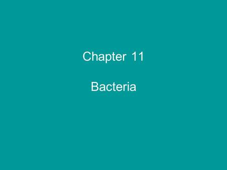 Chapter 11 Bacteria. Brucella abortus G-, coccobacillus Brucellosis in cattle Reproductive organs Sterility and abortions In humans – mild symptoms.