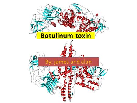 Botulinum toxin By: james and alan. The most poisonous substance known to man Produced by the common bacteria Clostridium botulinum Cause of Botulism.