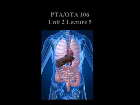 PTA/OTA 106 Unit 2 Lecture 5. Processes of the Respiratory System Pulmonary ventilation mechanical flow of air into and out of the lungs External Respiration.