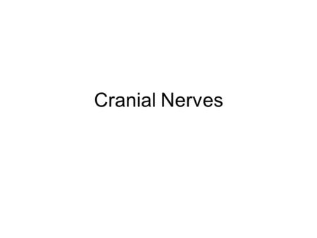 Cranial Nerves.