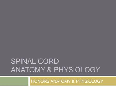 SPINAL CORD ANATOMY & PHYSIOLOGY