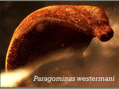 Paragominus westermani. Kingdom:Animalia Phylum:Platyhelminthes Class:Trematoda Order:Plagiorchiida Family:Troglotrematidae Genus:Paragonimus Species:P.