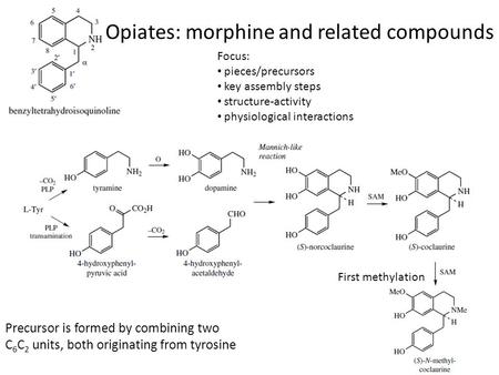 Opiates: morphine and related compounds