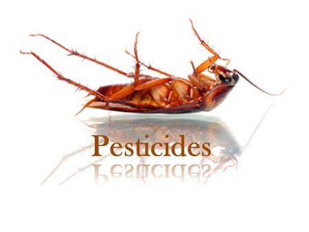 Pesticides. What are Pesticides? Pesticide: Any substance used for the purpose of destroying or controlling pests. Used in agriculture to protect crop.