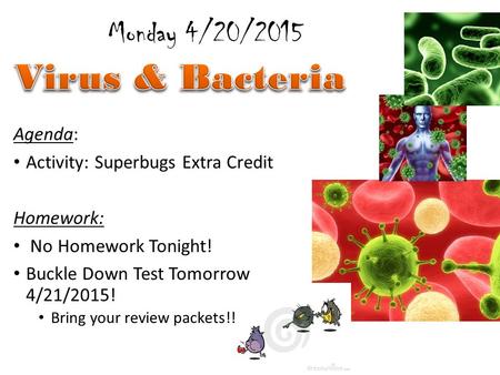 Agenda: Activity: Superbugs Extra Credit Homework: No Homework Tonight! Buckle Down Test Tomorrow 4/21/2015! Bring your review packets!! Monday 4/20/2015.