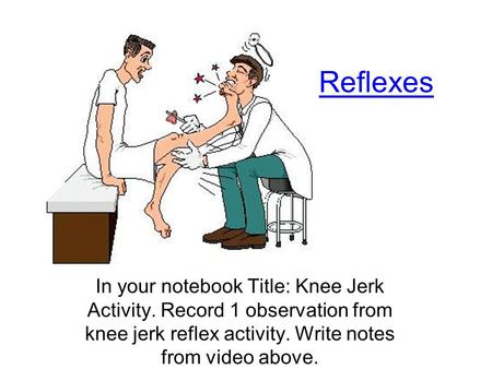 Reflexes In your notebook Title: Knee Jerk Activity. Record 1 observation from knee jerk reflex activity. Write notes from video above.