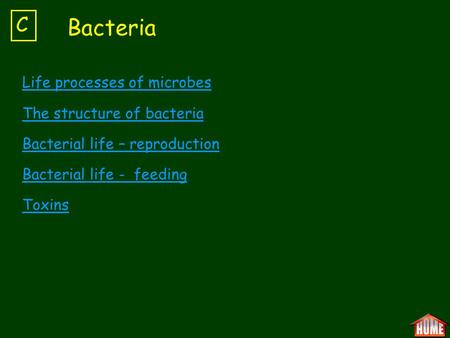 Bacteria C Life processes of microbes The structure of bacteria