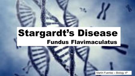 Stargardt’s Disease Fundus Flavimaculatus