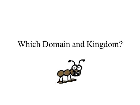 Which Domain and Kingdom?