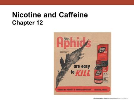 Nicotine and Caffeine Chapter 12. Leaves of the Nicotiana tabacum plant Nicotine History.