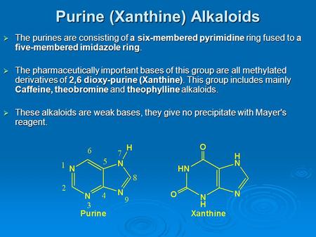 Purine (Xanthine) Alkaloids