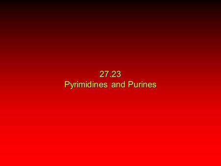 27.23 Pyrimidines and Purines. Pyrimidines and Purines In order to understand the structure and properties of DNA and RNA, we need to look at their structural.