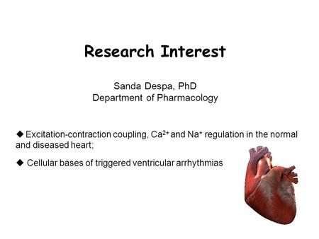  Excitation-contraction coupling, Ca 2+ and Na + regulation in the normal and diseased heart;  Cellular bases of triggered ventricular arrhythmias Research.