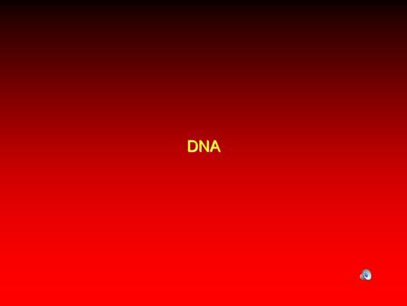 DNA. Genetics & DNA DNA: Picture 51  B-DNA: The advent of modeling