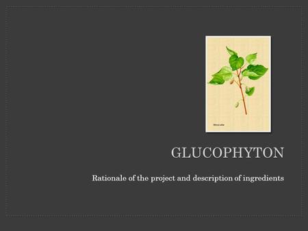 GLUCOPHYTON Rationale of the project and description of ingredients.