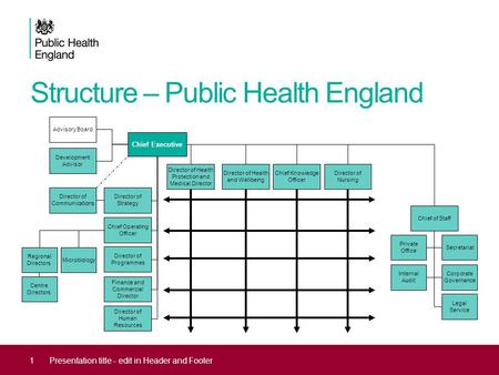 Structure – Public Health England 1Presentation title - edit in Header and Footer Chief Executive Director of Health Protection and Medical Director Director.