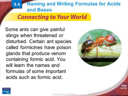 © Copyright Pearson Prentice Hall Slide 1 of 19 Naming and Writing Formulas for Acids and Bases Some ants can give painful stings when threatened or disturbed.