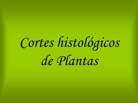 Cortes histológicos de Plantas. Colenquima Punta de Elodea sp. Meristemo.