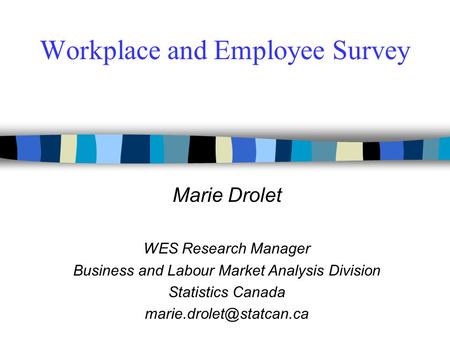 Workplace and Employee Survey