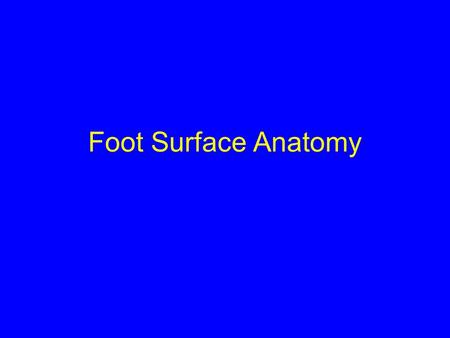 Foot Surface Anatomy. Bony Palpation Medial Aspect.