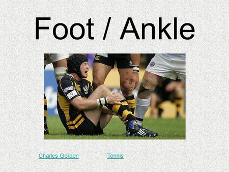 Foot / Ankle Charles GordonTennis. Foot Anatomy - Bones.