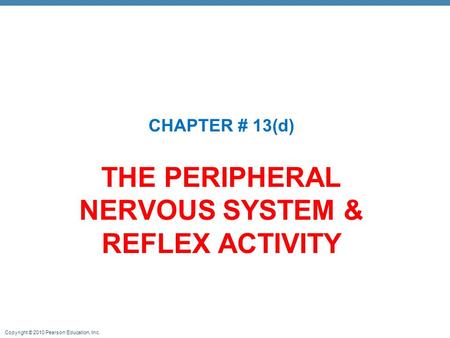 THE PERIPHERAL NERVOUS SYSTEM & REFLEX ACTIVITY