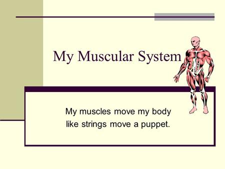 My Muscular System My muscles move my body like strings move a puppet.