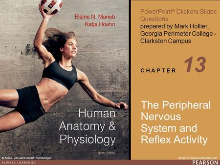 13 The Peripheral Nervous System and Reflex Activity.