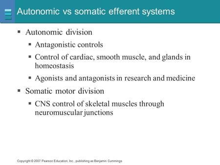 Autonomic vs somatic efferent systems