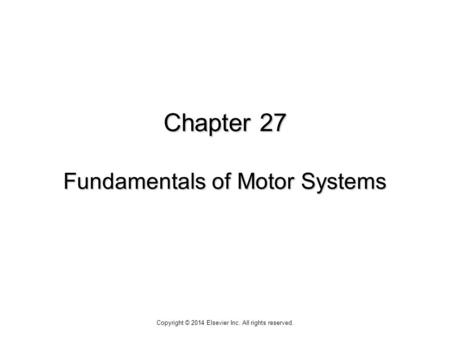 Chapter 27 Fundamentals of Motor Systems Copyright © 2014 Elsevier Inc. All rights reserved.